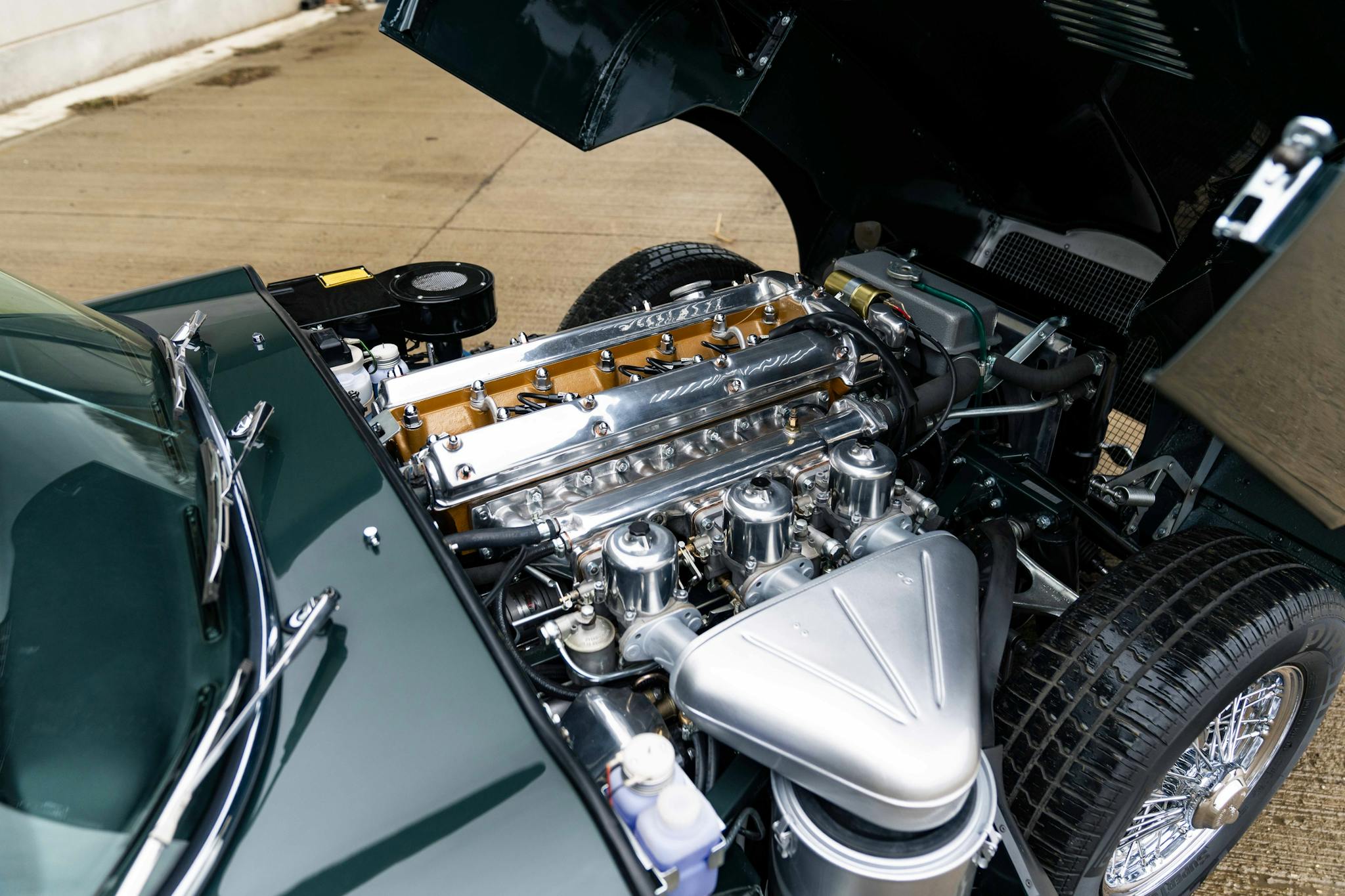 SPECIAL_FEATURES feature-one